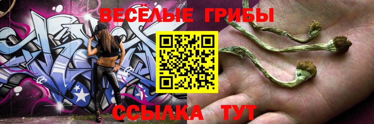 дарнет шоп  Псилоцибиновые грибы Psilocybine cubensis  Вход с VPN  Галлюциногенные грибы ЛСД  Касимов 